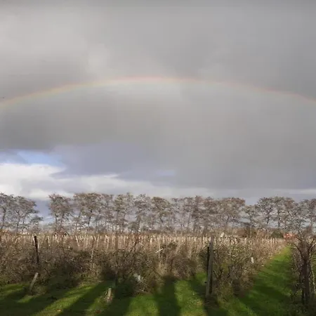 By Water Near Rotterdam Casa vacanze