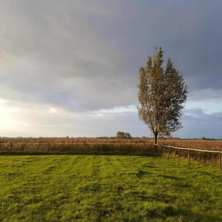 By Water Near Rotterdam