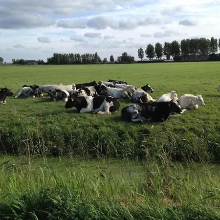 By Water Near Rotterdam Dom wakacyjny