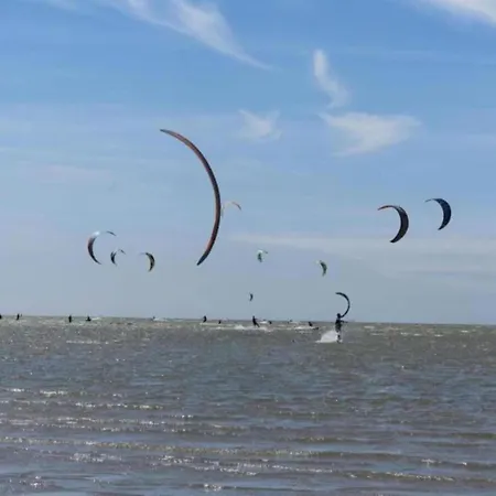 By Water Near Rotterdam