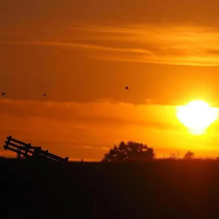 Dom wakacyjny By Water Near Rotterdam *