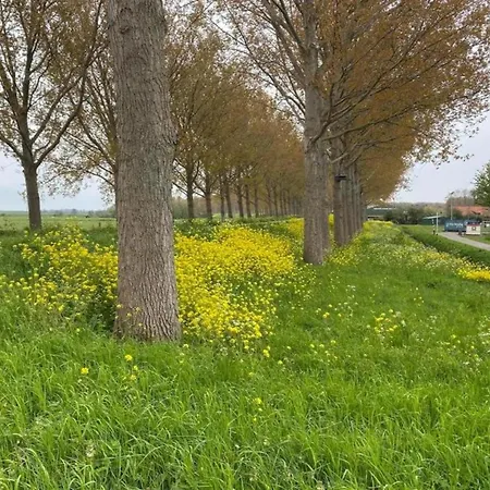 By Water Near Rotterdam בית נופש Simonshaven