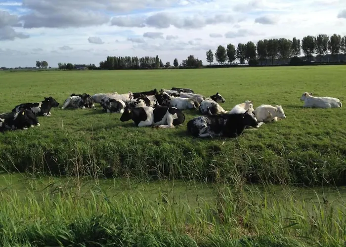 By Water Near Rotterdam Dom wakacyjny