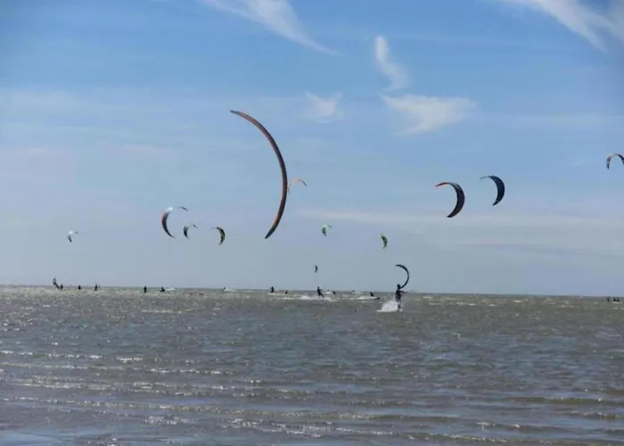 By Water Near Rotterdam