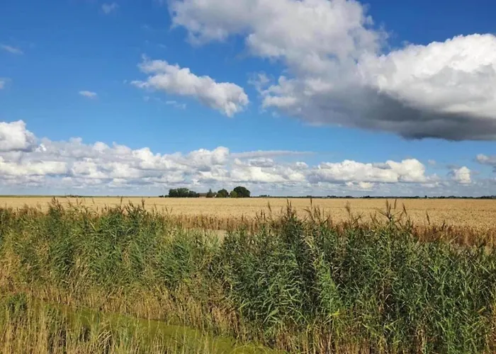 بيت للعطل By Water Near Rotterdam