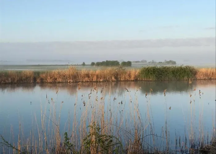 By Water Near Rotterdam