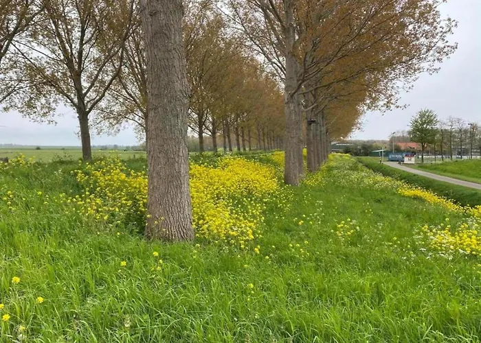 By Water Near Rotterdam بيت للعطل Simonshaven